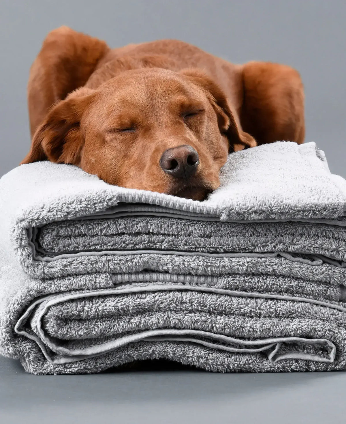 Delilah Home 100% Organic Cotton Bath Towels