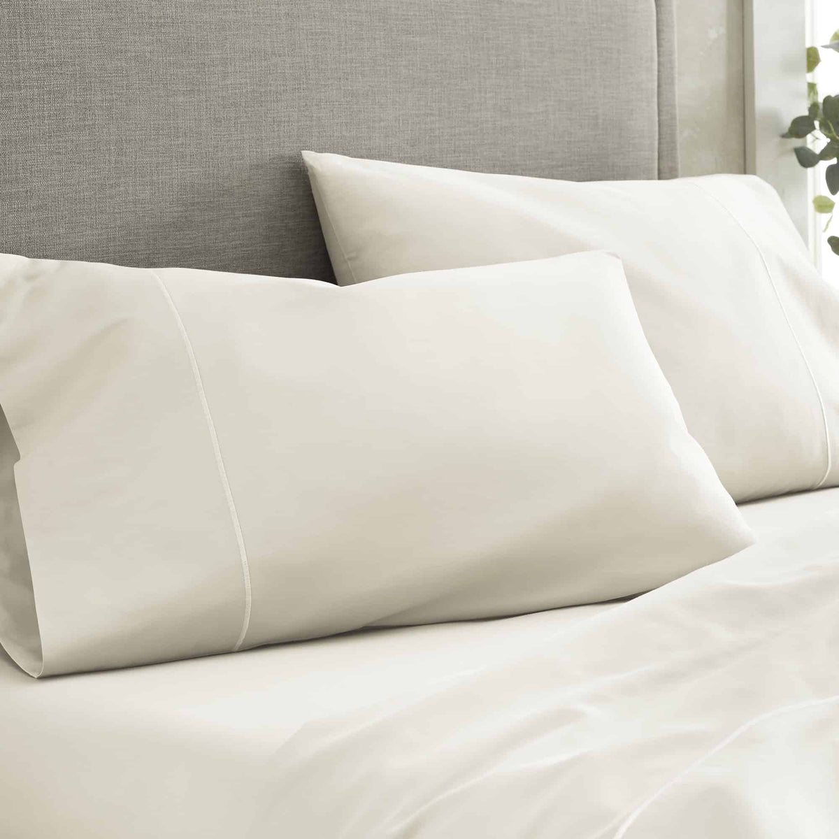 500 TC Sateen Sheet Set | GOTS + Fairtrade Certified Organic Cotton | 16" Deep Pocket