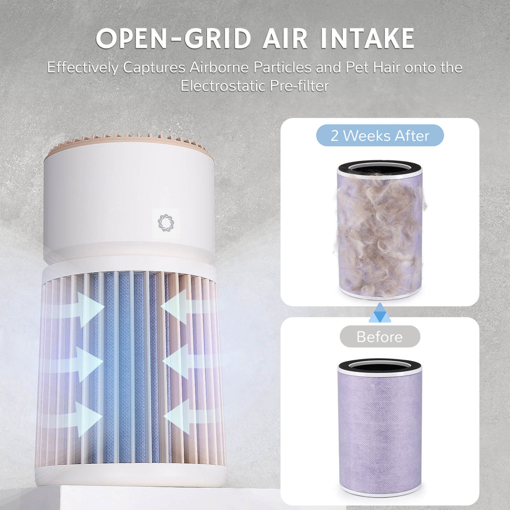 Airthereal AGH400 Replacement Filter | Glory Days Pet Air Purifier | H13 HEPA + Activated Carbon or Pet Deodorizing