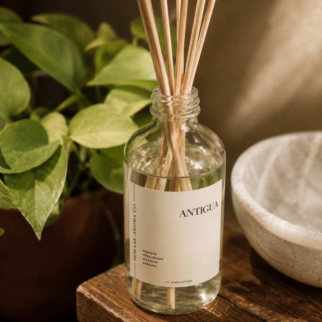Reed Diffuser | Antigua