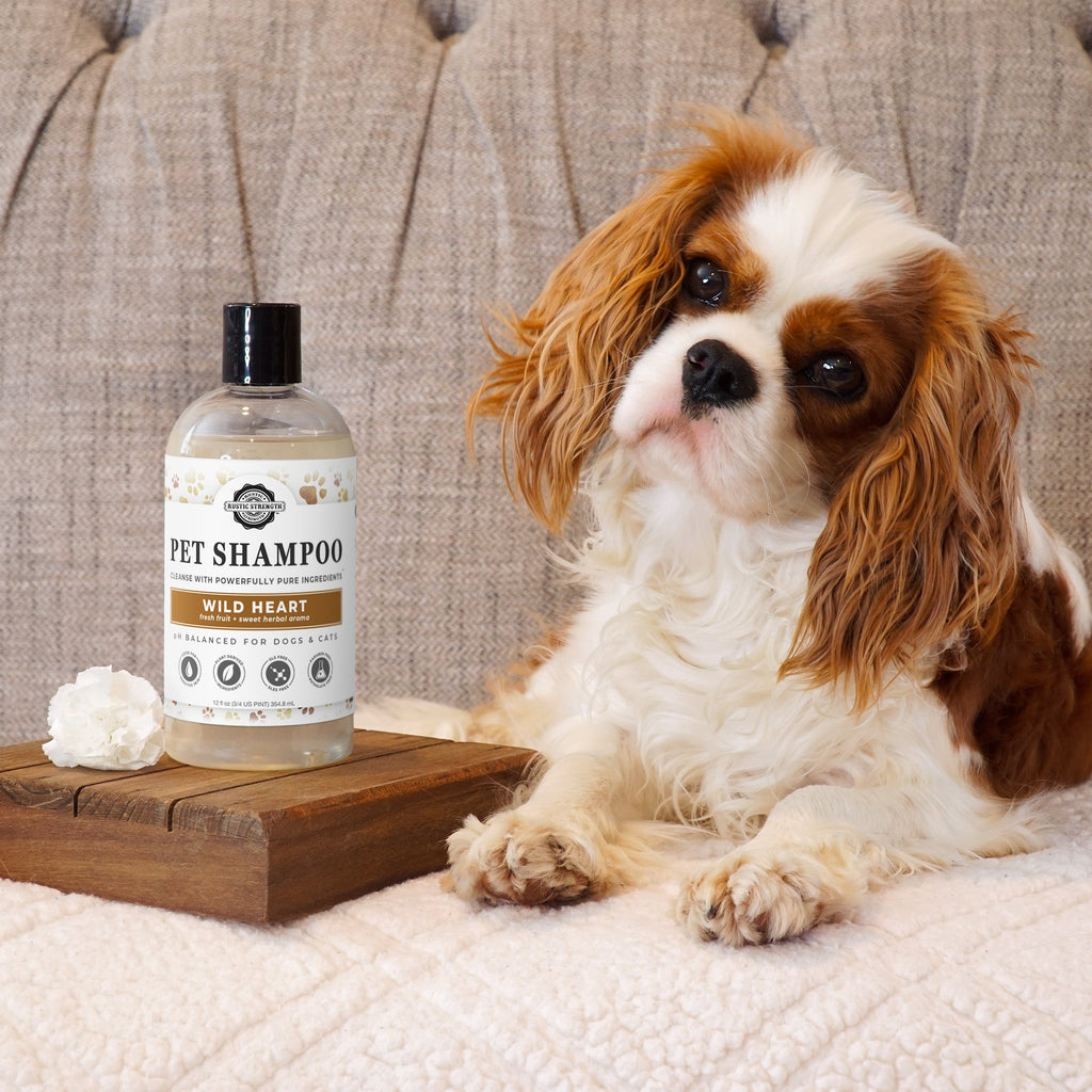 Pet Shampoo - Soothing + Deodorizing | Unscented
