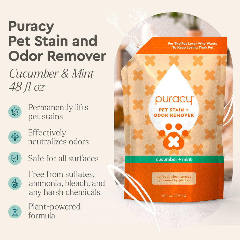 Puracy Pet Stain + Odor Remover