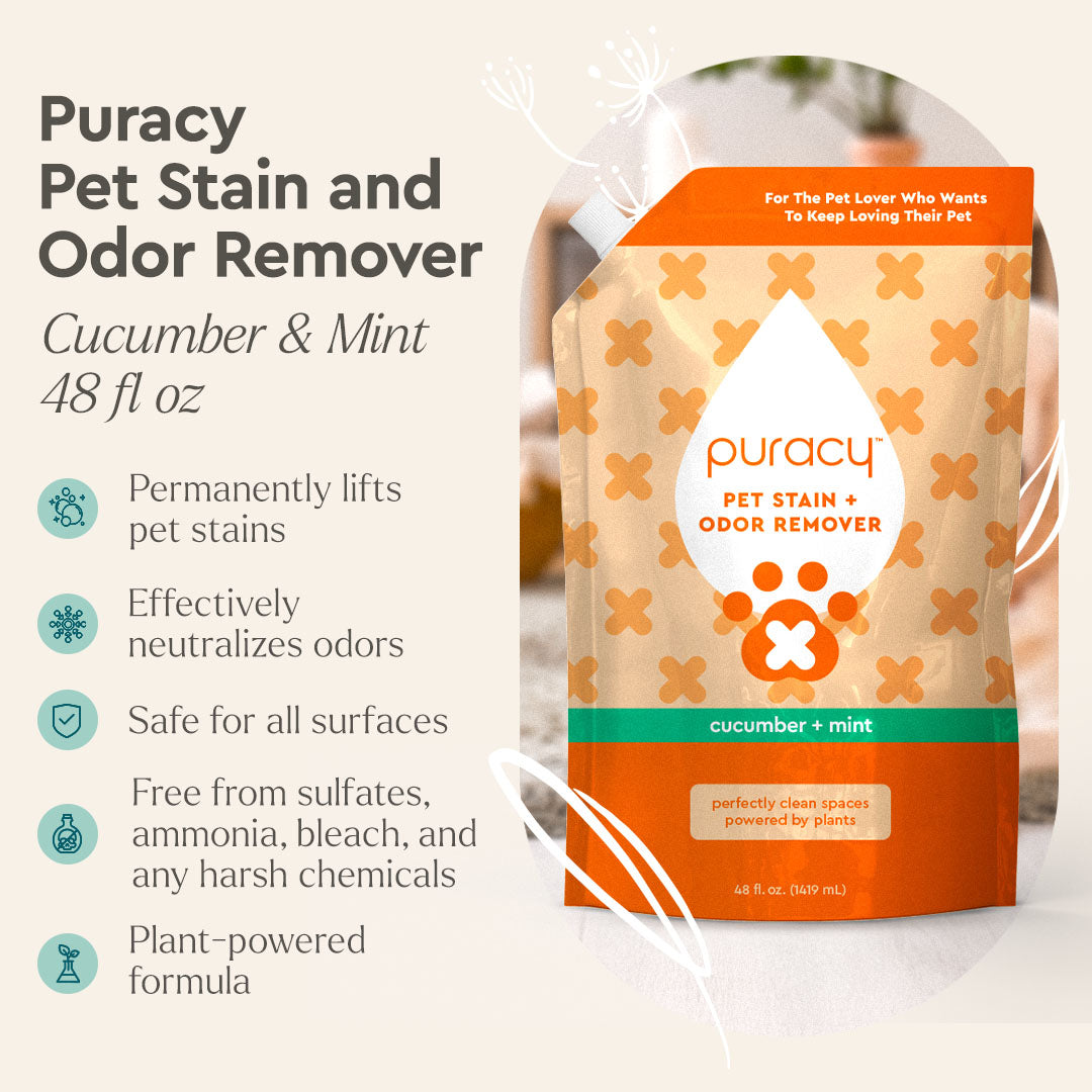 Puracy Pet Stain + Odor Remover