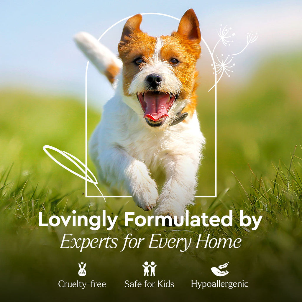 Puracy Pet Stain + Odor Remover