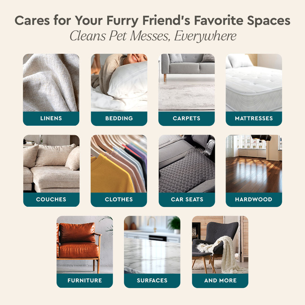 Puracy Pet Stain + Odor Remover