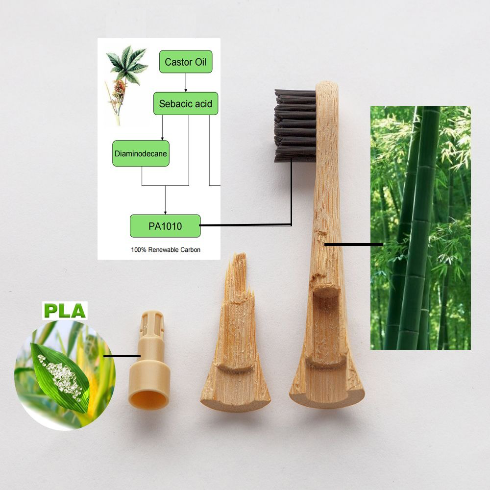 Bamboo Electric Toothbrush Replacement Heads | 4-Pack