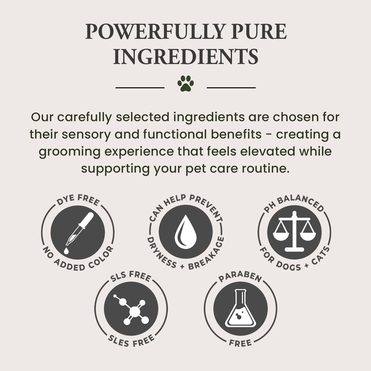 Pet Conditioner - Detangling + Softening | Unscented