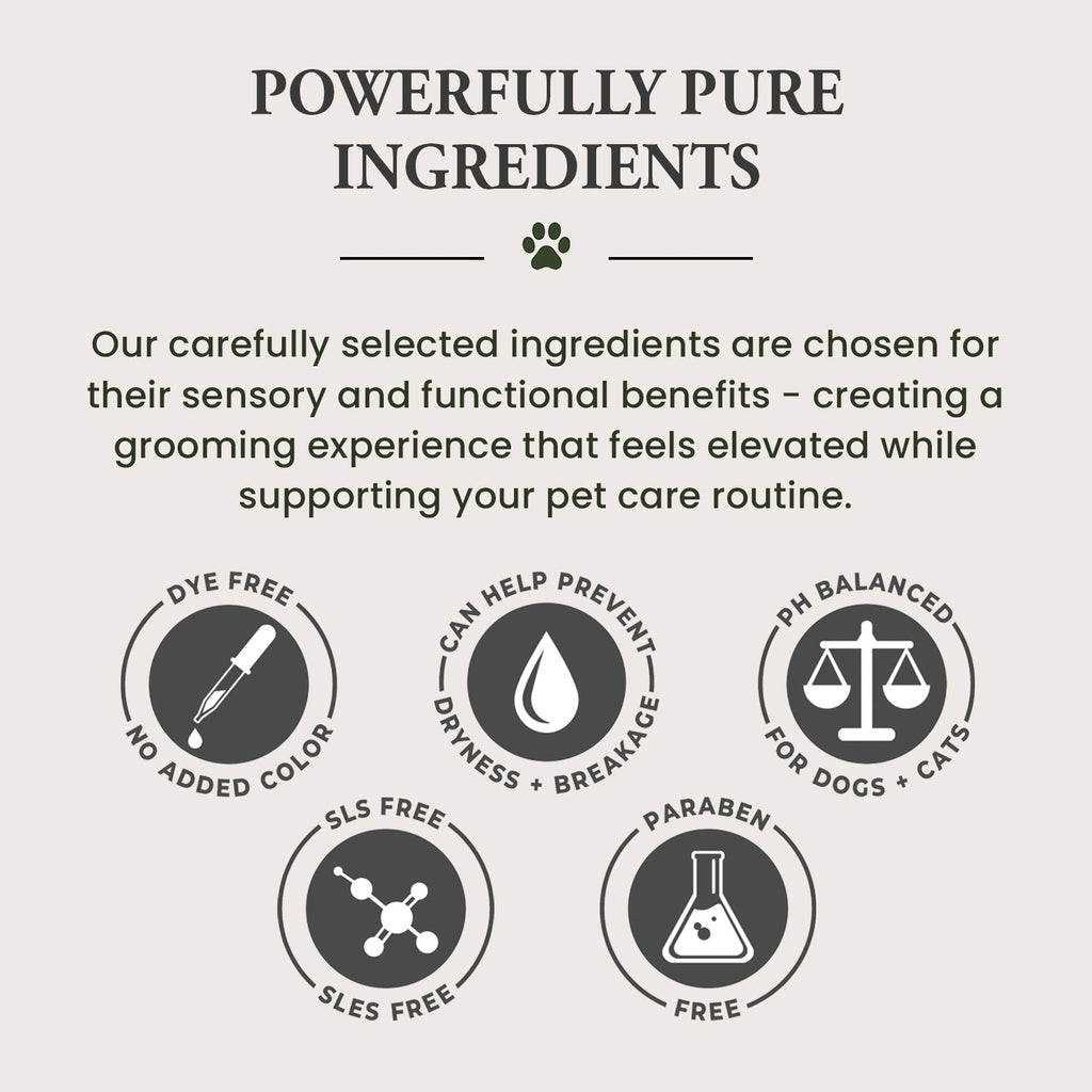 Pet Shampoo - Soothing + Deodorizing | Wild Heart